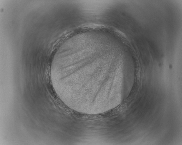 X0000053061397200508011902