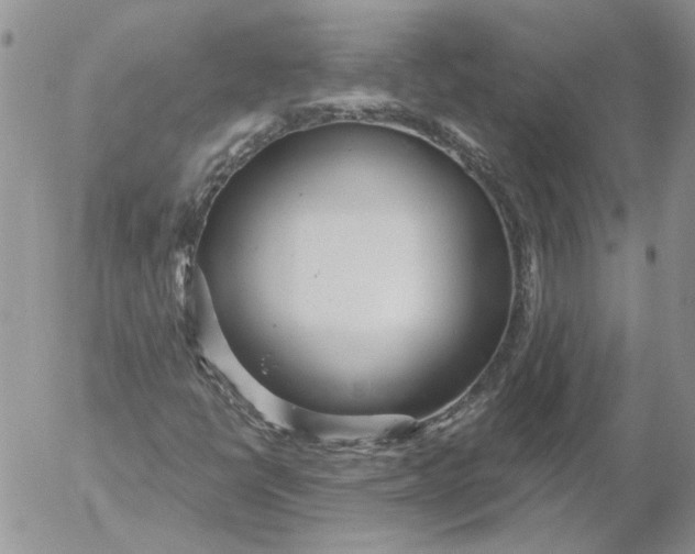 X0000053061398200508011902