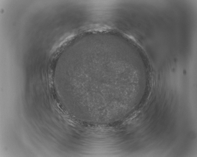 X0000053061399200508011902