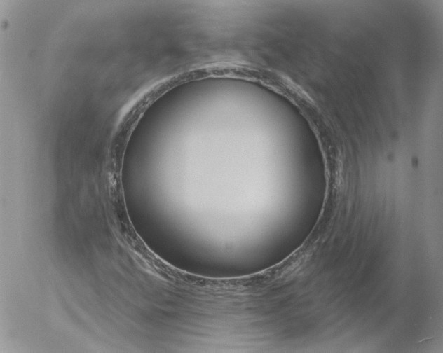 X0000053061400200508011902