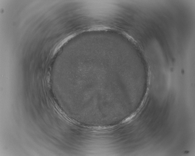 X0000053061401200508011902