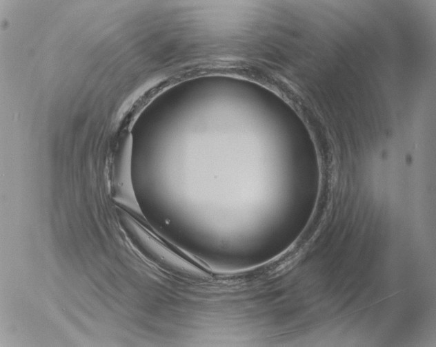 X0000053061402200508011902