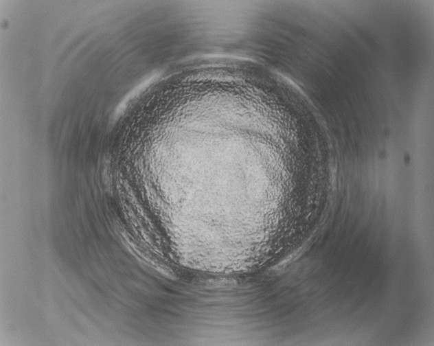 X0000053061403200508011902