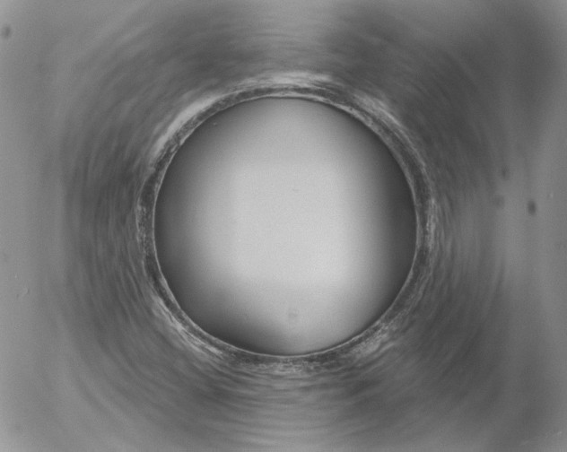 X0000053061404200508011902