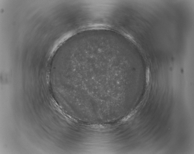 X0000053061405200508011902