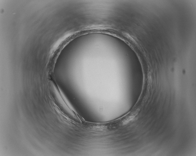 X0000053061406200508011902