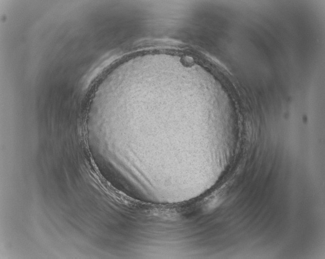 X0000053061407200508011902