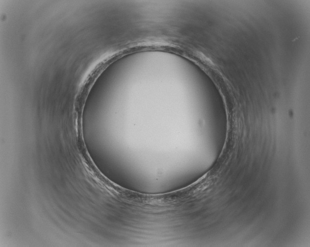 X0000053061408200508011902