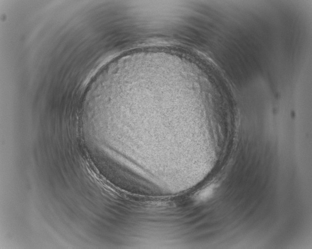 X0000053061409200508011902