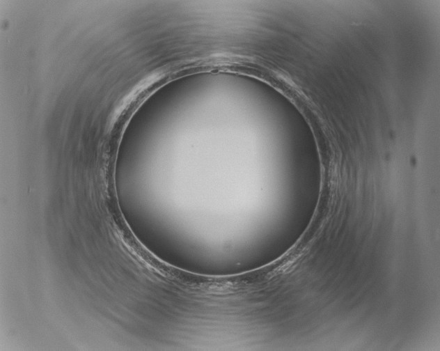 X0000053061410200508011902