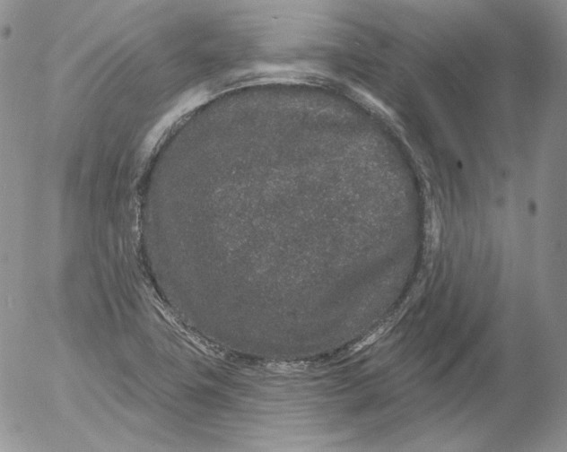 X0000053061411200508011902