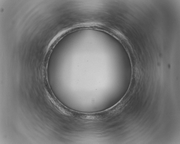 X0000053061412200508011902