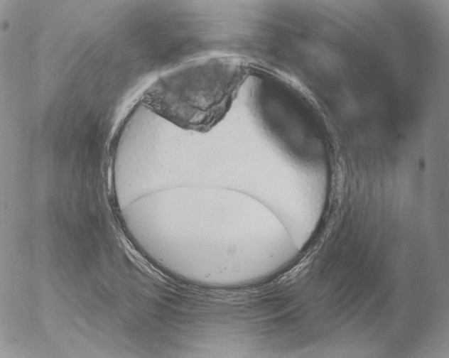 X0000053061413200508011902