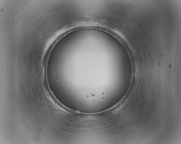 X0000053061414200508011902