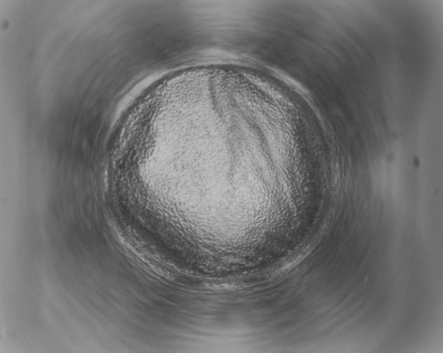 X0000053061415200508011902