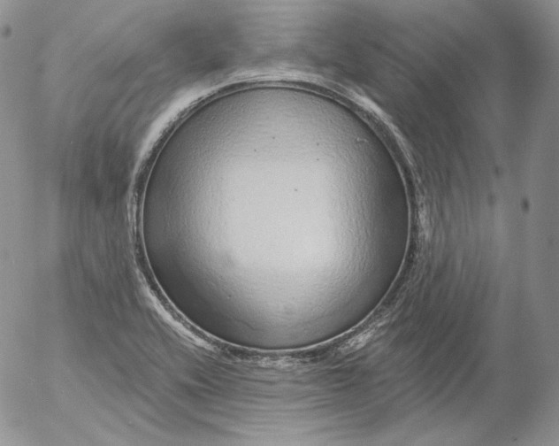 X0000053061416200508011902