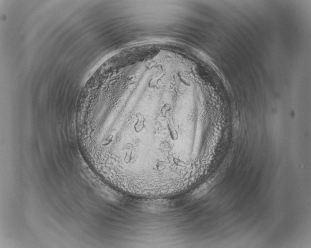 X0000053061417200508011902