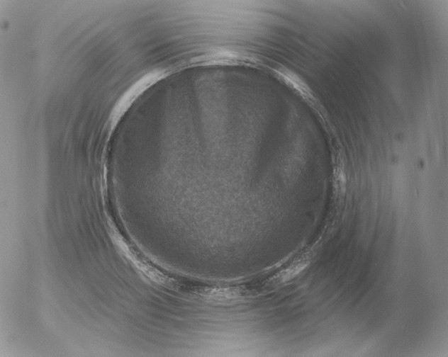 X0000053061418200508011902