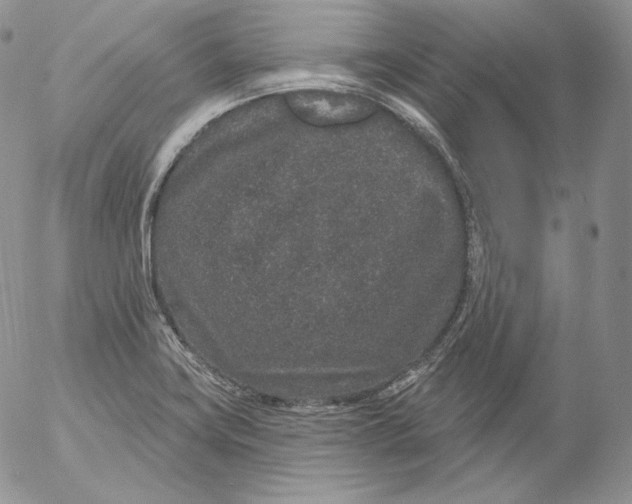 X0000053061419200508011902