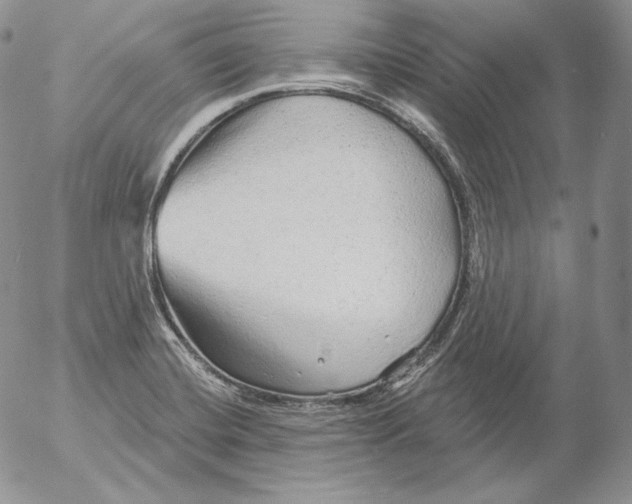 X0000053061420200508011902