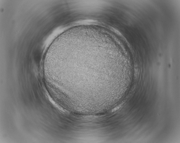 X0000053061421200508011902