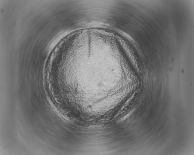 X0000053061423200508011902