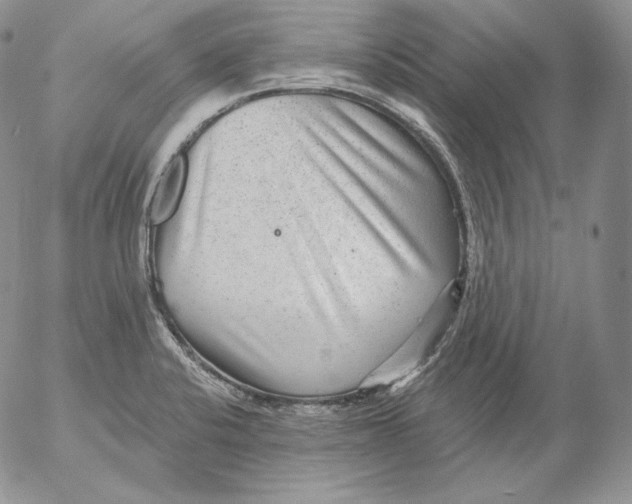 X0000053061424200508011902