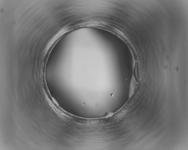 X0000053061426200508011902