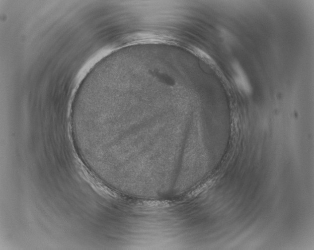 X0000053061427200508011902