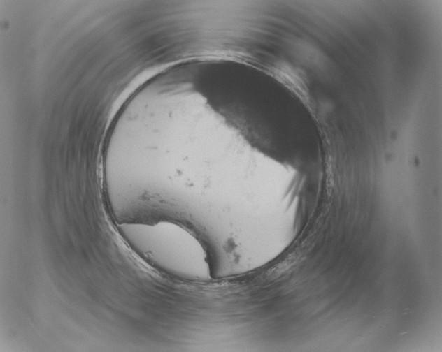 X0000053061428200508011902