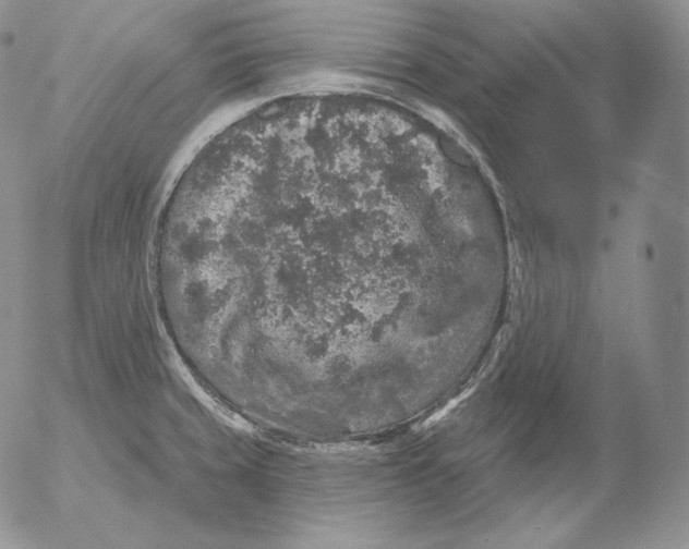 X0000053061429200508011902