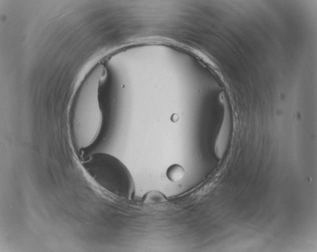 X0000053061430200508011902