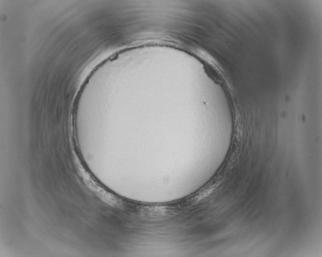 X0000053061431200508011902