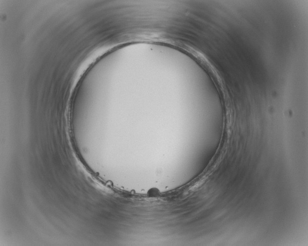 X0000053061432200508011902