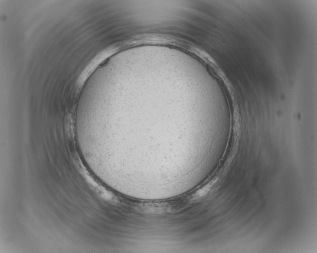 X0000053061433200508011902