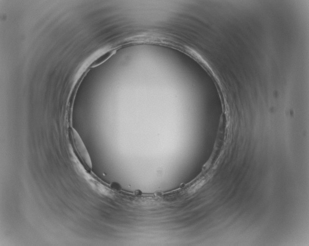 X0000053061434200508011902