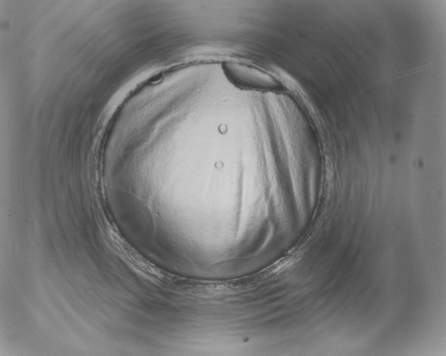 X0000053061435200508011902