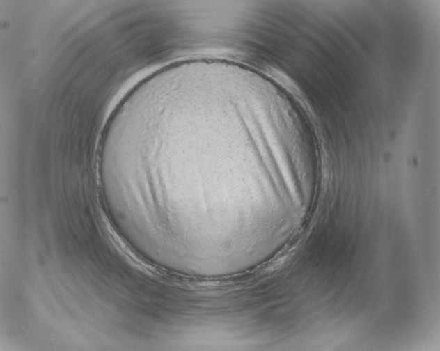 X0000053061436200508011902