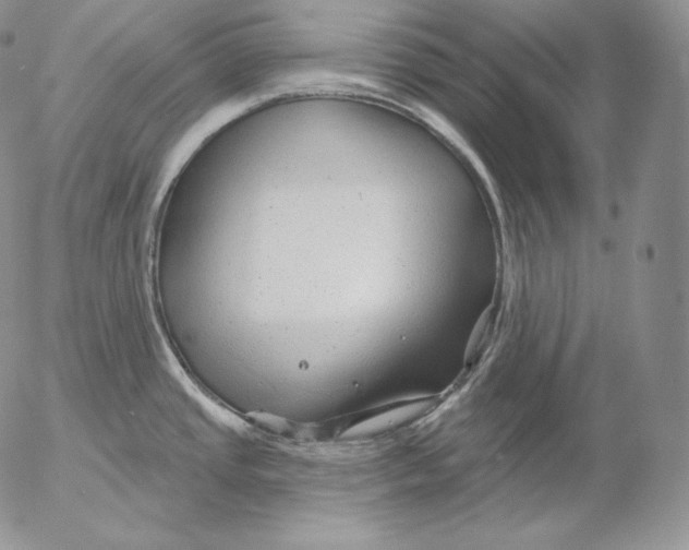 X0000053061437200508011902