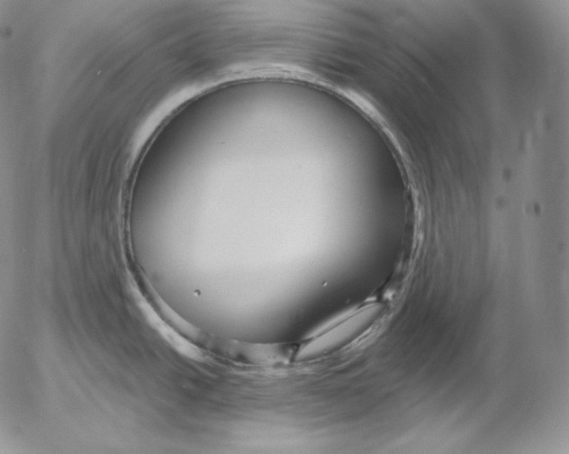 X0000053061438200508011902