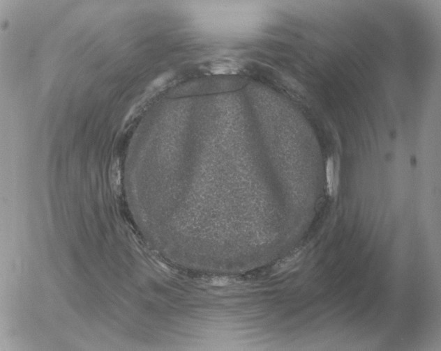 X0000053061443200508011901