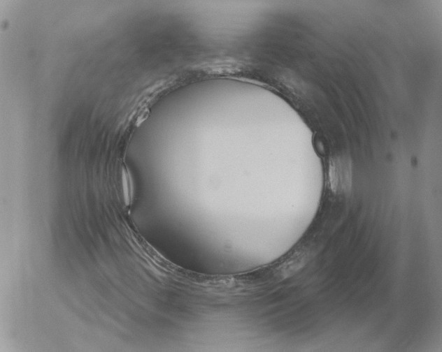 X0000053061444200508011901