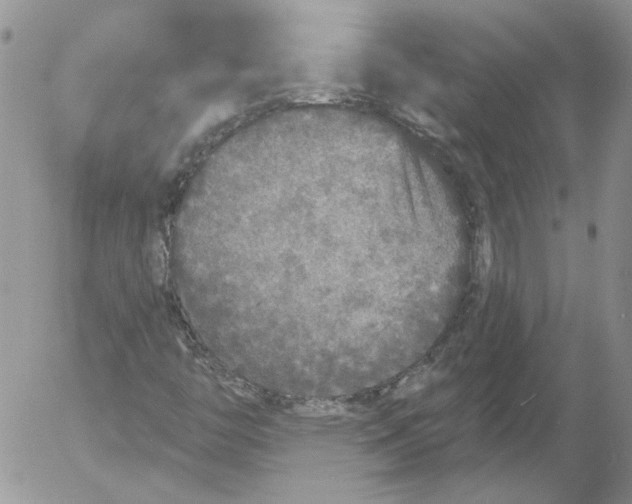 X0000053061446200508011901