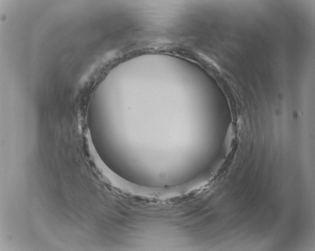 X0000053061447200508011901