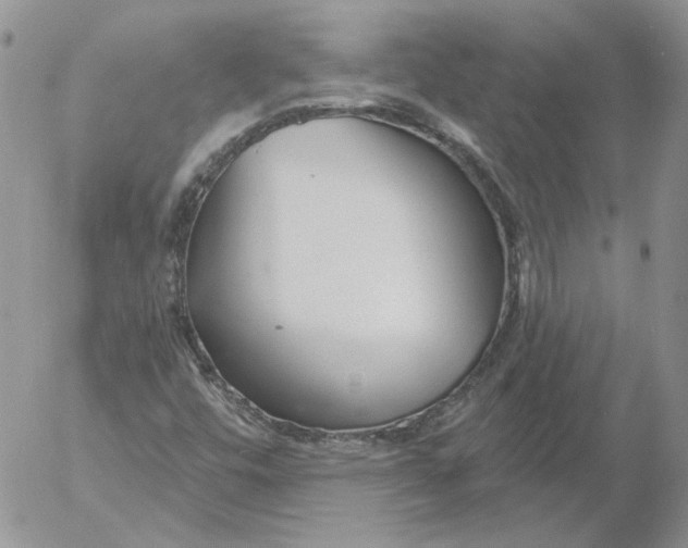 X0000053061448200508011901