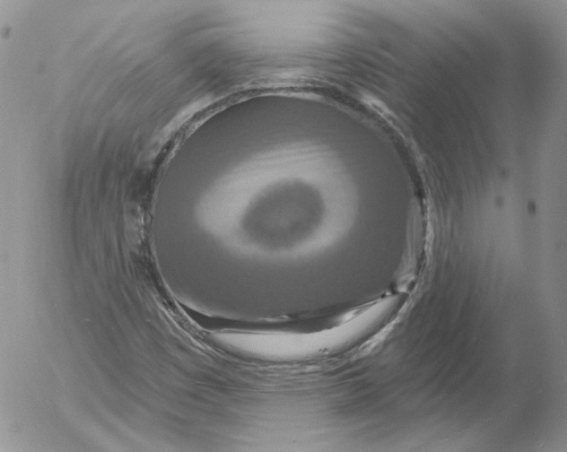 X0000053061449200508011901