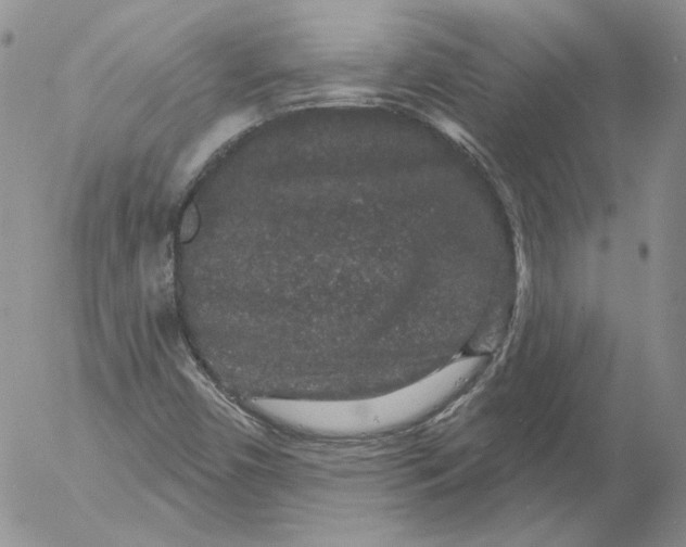 X0000053061450200508011901