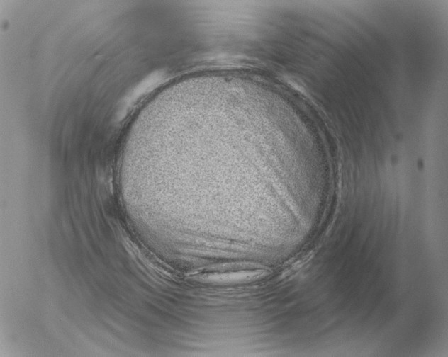 X0000053061451200508011901