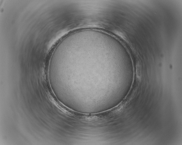 X0000053061452200508011901