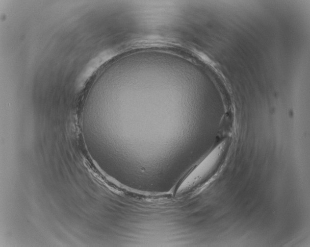 X0000053061453200508011901